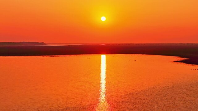 At sunset, flocks of migratory birds, swans, and geese take flight over Poyang Lake.