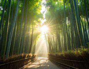 Ethereal Bamboo Forest with Morning Rays