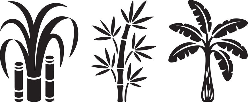 tropical plants sugarcane bamboo and banana leaves clean silhouette vector illustrations