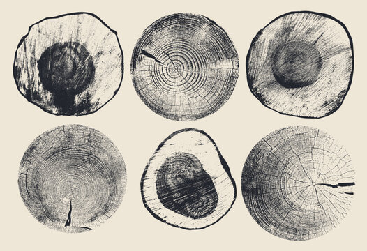 Set of black tree stumps. Cross sections of tree rings. Collection of ring pattern, wood texture. Slices of tree with growth rings, slabs of tree trunk. Vector, natural cut wood, background elements.
