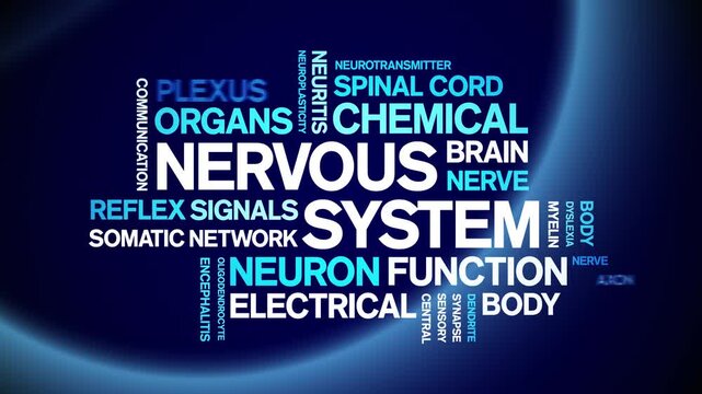 Nervous System animated word cloud-text design animation tag kinetic typography seamless loop.