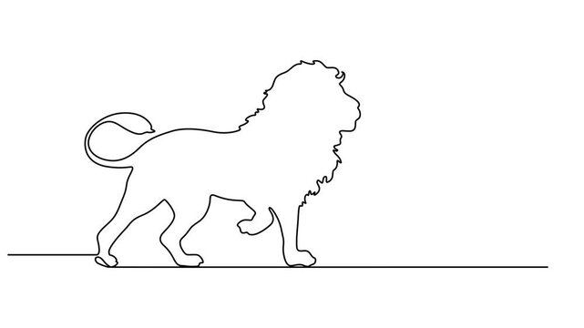 One continuous line illustration of an lion , isolated on white background, Continuous line drawing lion walking, Side view single linear decorative design concept. Lion abstract linear minimal style