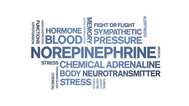 Norepinephrine animated word cloud-text design animation tag kinetic typography seamless loop.