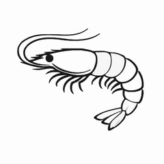 Shrimp vector clipart art illustration solid white background 