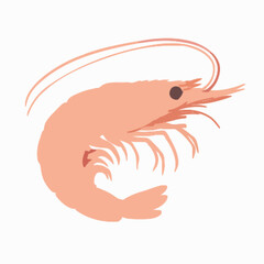 Shrimp vector clipart art illustration solid white background 