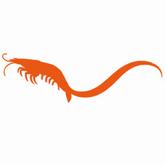 Shrimp vector clipart art illustration solid white background 