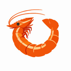 Shrimp vector clipart art illustration solid white background 