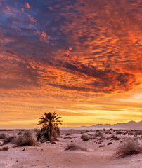 Colorful sunset in desert area of nature reserve and ecological ancient park - Evrona, located 5 km north of tourist resort city of Eilat, Israel 