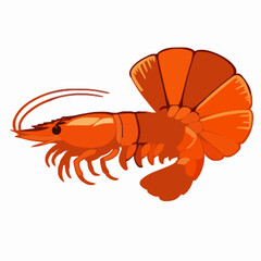 Shrimp vector clipart art illustration solid white background 