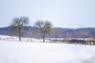 Winterlandschaft bei Schnee und Sturm © Bianka