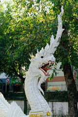 Close up of naga statue in chiang mai temple