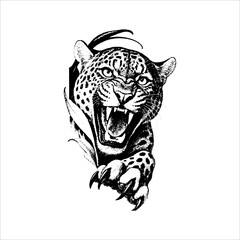 Roaring Leopard Emerging from Jungle Illustration © JohnStock12