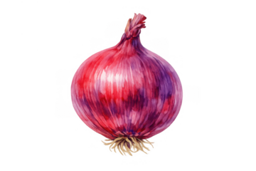 Red onion hand painted watercolor illustration with natural textures and vibrant magenta purple colors on transparent background