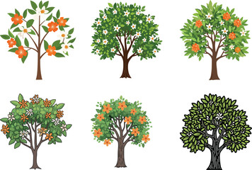 Flowering tree illustration set, botanical styles, foliage, blossoms, seasonal, nature, garden, sketch, colorful, stylized, educational, plant diversity