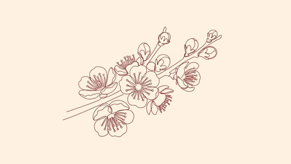 Obraz premium cherry blossom branch drawing