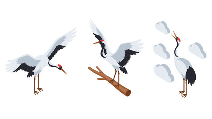 Obraz premium Elegant crane birds in various poses with minimalist design