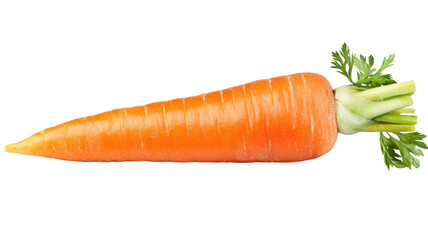 Fresh orange carrot with green top on transparent background