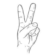 Obraz premium Peace hand gesture line icon. Sign of victory. Hand drawn sketch