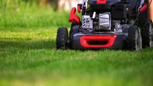 A lawn mower mows the lawn in a garden plot