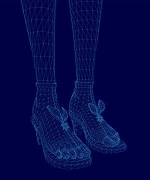 A blue 3D wireframe model of a woman's legs and shoes stands against a matching blue background.