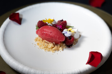 A delectable gourmet dessert featuring vibrant red sorbet and fresh raspberries on a pristine white plate