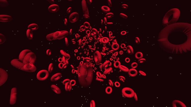 Red Blood Cells Erythrocytes Artery Microscopic 3D Animation Realistic Medical Flowing Pulsatile Loop 4K ProRes 422 HQ