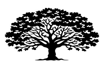 Fototapeta premium classic broad oak tree with rounded canopy silhouette illustration for nature and landscape design