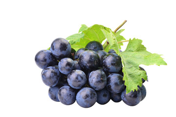 Bunch grapes on a white background
