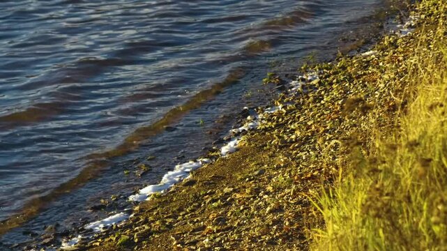 Close-up view of small waves with white foam lapping against a natural, rocky shoreline with green grass and pebbles in the Southern Urals region of Russia. The water is dark blue with ripples.