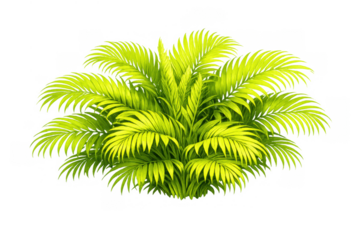 Tropical green palm plant with lush foliage and fronds, adding exotic nature and botanical elements with a transparent background