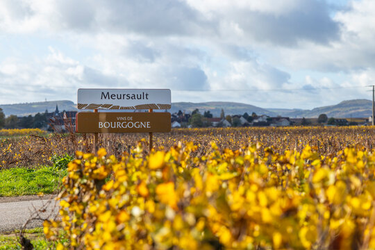 Meursault Vins de Bourgogne sign displaying vineyard autumn colors