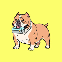 Obraz premium Cute American Bully Dog Holding a Box.