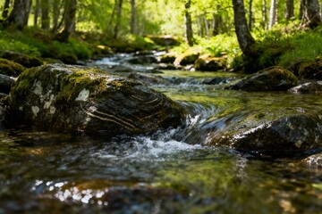 A clear stream flows over moss-covered rocks in a sunlit forest.