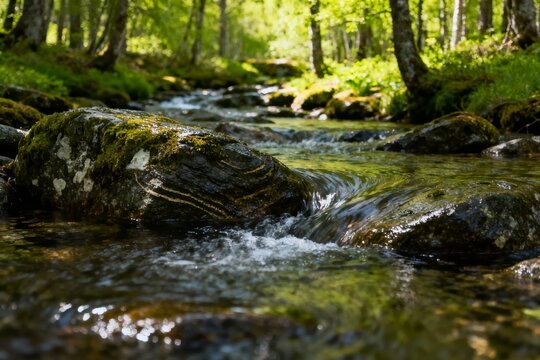 A clear stream flows over moss-covered rocks in a sunlit forest. - Powered by Adobe