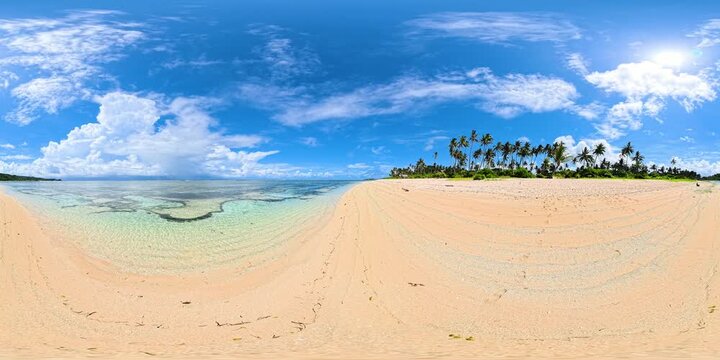 Coastal palm grove with sandy shore and shallow reef waters. Siargao, Philippines. Virtual Reality 360