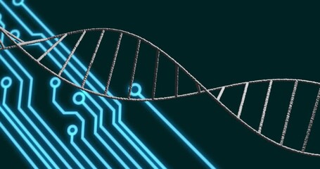 Animation of rotating dna helix over circuit board texture against abstract background - Powered by Adobe