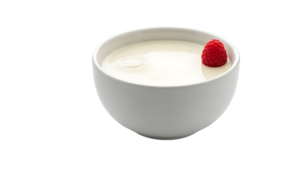 A small white bowl filled with creamy yogurt and a single raspberry