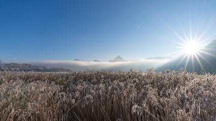 Frosty Sunrise over Weissensee in Bavaria Allgaeu Germany with great sunny Winter Vibes. High...