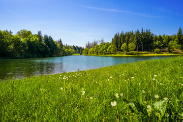 View of the Panzer Dam and the surrounding landscape near Remscheid. Nature by the lake in North Rhine-Westphalia.
