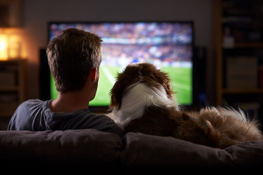 Man and his pet dog watching superbowl on tv on a couch at home, view from back