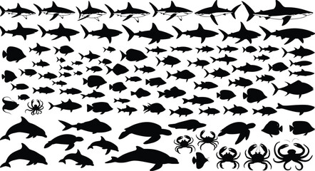Mega collection of marine life silhouettes including sharks dolphins sea turtles crabs and tropical fish cad drawing flat vector illustration © MDMOHOBBAT