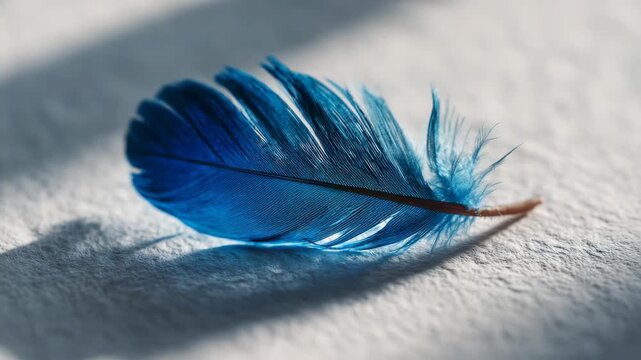 Close-up of a vibrant blue feather on a soft white surface