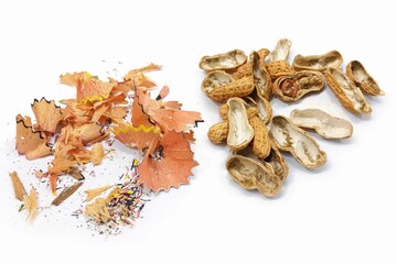 Pencil shavings and peanut shells on a white background.