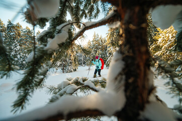 a female tourist with a red backpack walks through a winter snow-covered coniferous forest