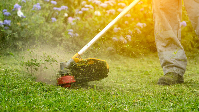 Gardener with trimmer in garden plot