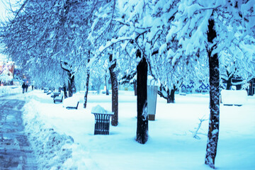 Silence Beneath the Snow