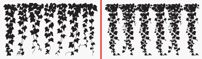 ivy vine illustration, climbing plant drawing, green ivy artwork, nature vine design, hand drawn climbing clipart, botanical ivy illustration, stock vine artwork   © Geetaroy
