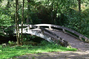 wooden arch bridge in the forest, Luxembourg