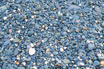 galets sur la plage des rosaires, en baie de saint brieuc