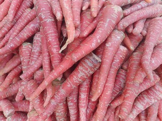 Close up shot of fresh pile of carrot.